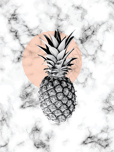 矢量大理石纹理与菠萝,黑白大理石纹,现代豪华背景,矢量插图背景图片