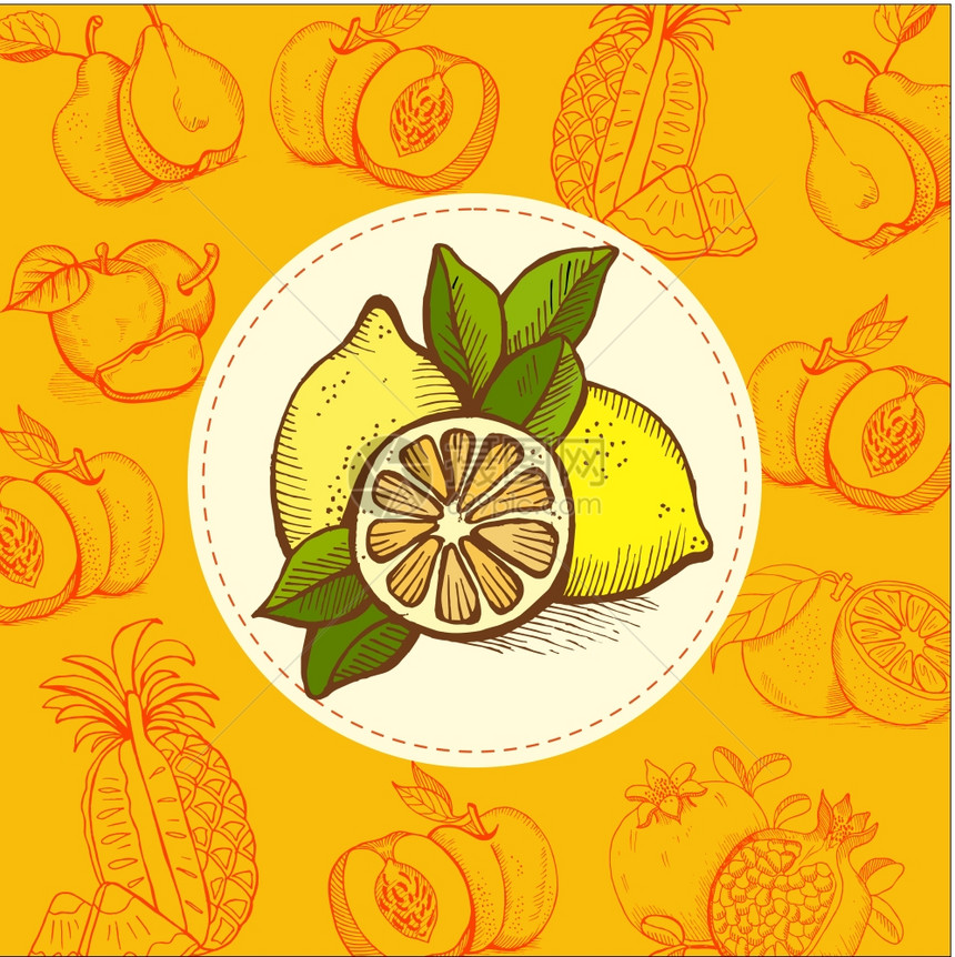 柠檬,石灰水果矢量插图水果手绘的手绘矢量插图图片