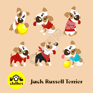 六只穿着衣服的趣的狗杰克罗素猎犬狗的衣服矢量插图图片