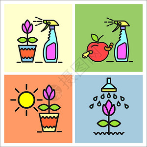 花园,水果,浇水,喷洒花园害虫,园艺,花盆,套矢量图标图片