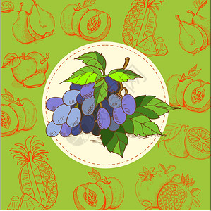 葡萄,蓝色葡萄葡萄汁水果矢量插图水果手绘的手绘矢量插图背景图片