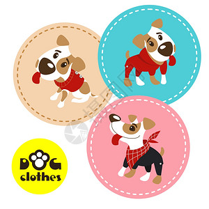 杰克罗素梗犬套三个标签与趣的狗杰克罗素猎犬衣服狗的衣服矢量插图插画
