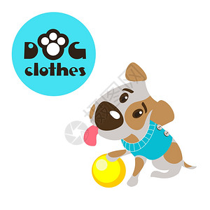 骨香鲳鱼球带黄色球的狗,矢量插图杰克罗素猎犬狗的衣服插画