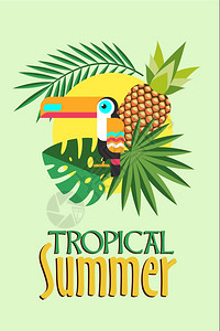 热带夏季矢量插图热带树叶,菠萝巨嘴鸟阳光下图片