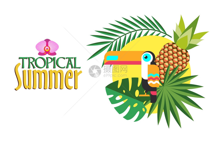 热带夏季矢量插图热带植物,巨嘴鸟,菠萝太阳图片