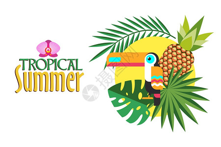 热带夏季矢量插图热带植物,巨嘴鸟,菠萝太阳高清图片