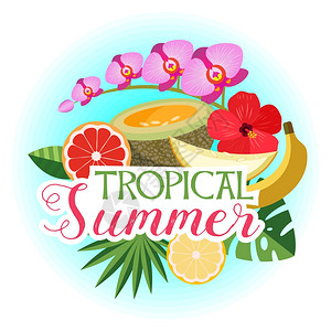 热带夏季,矢量成甜瓜,兰花,柚子,香蕉,橘子,芙蓉花,棕榈叶图片