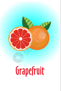 葡萄柚柚子矢量插图整个灰色半的水果插画