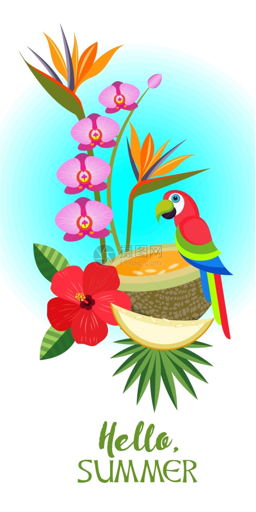 你好,夏天矢量插图热带水果五颜六色的异国鹦鹉图片