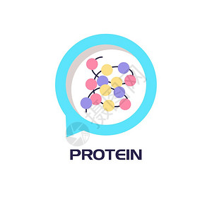 大豆分离蛋白配方蛋白运动营养白色背景上分离的矢量插图插画