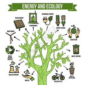 能源分析绿色能源生态信息图表布局海报生态自然绿色能源生物燃料生产与回收信息树布局图抽象矢量图插画