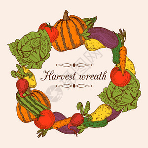 圆形南瓜五颜六色的蔬菜框架彩色装饰框架形状的圆形花环新鲜蔬菜矢量插图插画