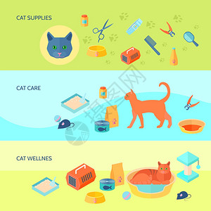 猫用品猫3横平横幅室内猫食品护理用品3横平横幅载体抽象孤立矢量插图插画
