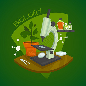生物实验室工作生物实验室工作与显微镜室内植物化学试剂矢量插图插画