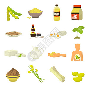 营养成分图大豆食品图标酱油食品图标豆浆大豆酱油肉豆腐酱油矢量插图插画