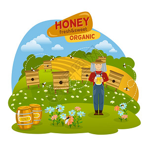蜂蜜插图甜蜜的机蜂蜜与蜂蜂田平矢量插图背景图片