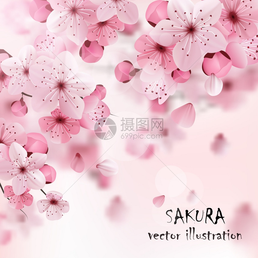 粉红色樱桃樱花印美丽的打印与开放的黑暗浅粉红色樱花花标题矢量插图图片