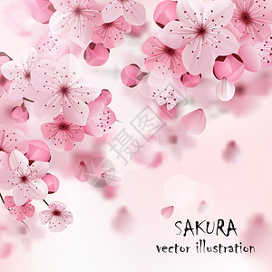 赏樱海报粉红色樱桃樱花印美丽的打印与开放的黑暗浅粉红色樱花花标题矢量插图插画