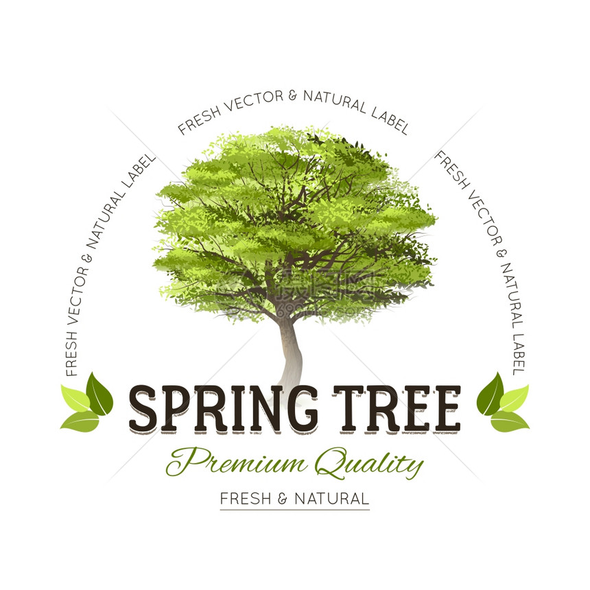 树木排版标志排版标志标志与现实的绿色春天树优质的文本矢量插图图片