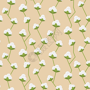 棉花无缝图案棉花装饰无缝图案,白色蓬松花卉矢量插图背景图片