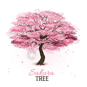 现实的樱花树现实的粉红色开花春天日本樱花樱桃树矢量插图背景图片