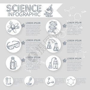 科学信息图集科学素描信息图集与化学学校符号矢量插图图片