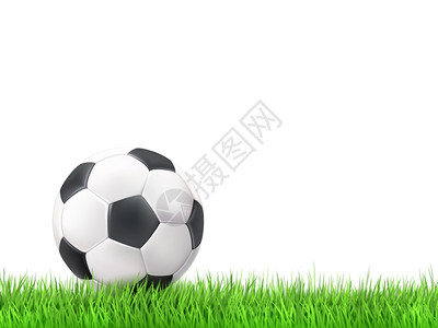 足球草地背景足球草白色背景矢量插图图片