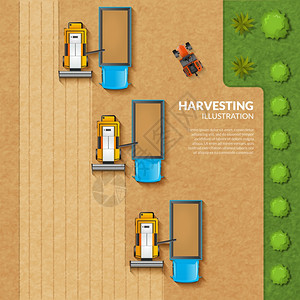 收获顶部视图插图收获与顶部视图粮田与农业机械矢量插图插画