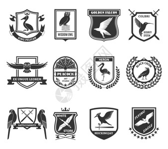 战争标志鸟类标志黑色图标集合鸟类黑色标志收集与科里蜂鸟安全系统盾牌黄金猎鹰标签抽象孤立矢量插图插画