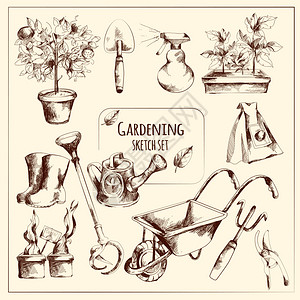 园艺仪器素描与种子花盆叉子分离矢量插图园艺素描集图片