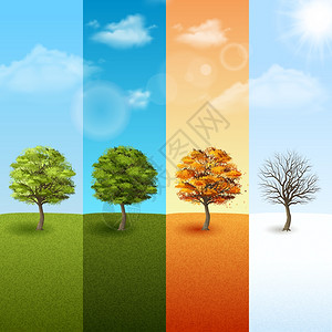 四季花园四季树横幅套四季垂直横幅与树木蓝天背景矢量插图插画