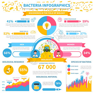 细菌信息图集细菌信息图集与医学测试研究图表矢量插图图片