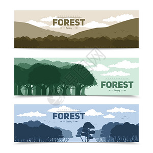 树林横幅树林横幅同的自然场景孤立矢量插图图片