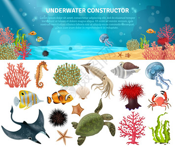 海洋生命构造函数隔离图标集海洋生物动植物景观卡通图标构造器矢量插图插画