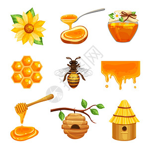 糖罐子蜂蜜隔离图标集蜂蜜孤立卡通图标与各种元素的养蜂蜜蜂生活矢量插图插画