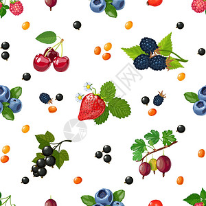 野生黑莓新鲜浆果无缝彩色图案新鲜的野生浆果花园浆果混合五颜六色的图案,用于垫包装纸抽象矢量插图插画