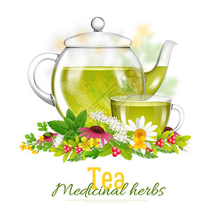 阿提基茶壶茶杯药材插图璃茶壶茶杯周围草药花白色背景与标题矢量插图插画