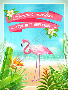 天堂与地域火烈鸟异国情调的暑假海报异国情调的海滩天堂度假广告海报与粉红色火烈鸟热带植物叶抽象矢量插图插画