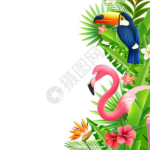 热带雨林火烈鸟垂直五颜六色的边界华丽的热带雨林树叶垂直边界与粉红色火烈鸟巨嘴鸟天堂鸟花卉彩色矢量插图背景图片