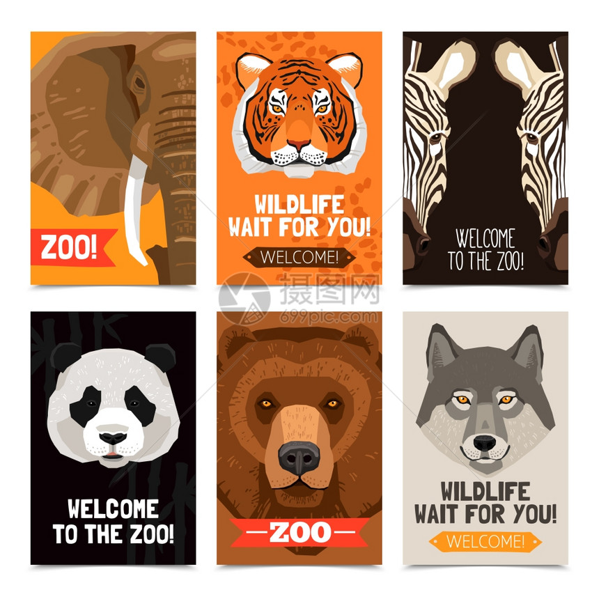 动物迷你海报套迷你海报同的野生动物头每张海报动物园广告平矢量插图图片