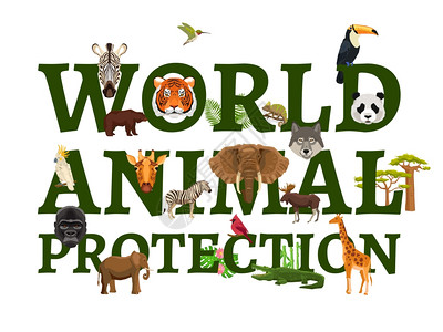 野生动物保护插图海报标题说明保护野生世界动物与白色背景矢量插图图片