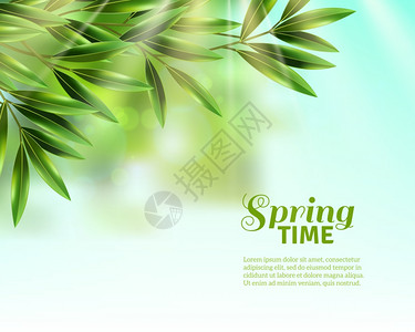 春天留下背景橄榄树的枝条与绿叶春天的阳光下蓝天背景下平矢量插图背景图片