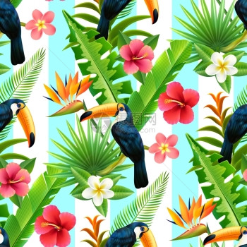 热带雨林巨嘴鸟扁平无缝图案热带雨林植物与巨嘴鸟天堂芙蓉花无缝装饰抽象矢量插图图片