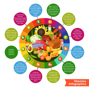 番茄鸡扒饭美食摄影图海报食品维生素信息图信息海报与食品圆圈的维生素信息圈围绕平矢量插图插画