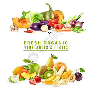 新鲜蔬菜水果的理念彩色机理念与两套新鲜蔬菜水果现实风格的矢量插图背景图片