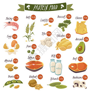 海鲜图蛋白质丰富的食物平图标最佳蛋白质食品图标收集健康饮食与鲑鱼,豆类,杏仁鸡分离矢量插图插画