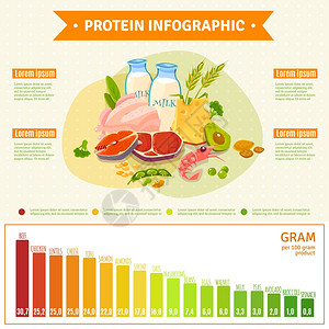 高蛋白质食物健康蛋白质食品信息平海报信息海报关于蛋白质丰富的健康营养与文本图信息元素平抽象矢量插图插画