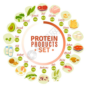 蛋白质含量含蛋白质产品平圆图高蛋白产品渐进圆图与实际含量数据菠菜牛肉平矢量图插画