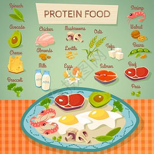 牛肉味粮食蛋白质食品生熟收集蛋白质丰富的食物平海报与肉蛋,乳制品蔬菜,生熟抽象矢量插图插画