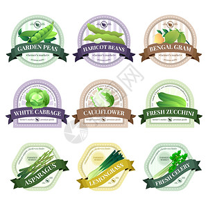 豌豆豆荚蔬菜草药平标签机种植的新鲜生态蔬菜标志标签农贸市场与菜花甘蓝芹菜分离矢量插图插画